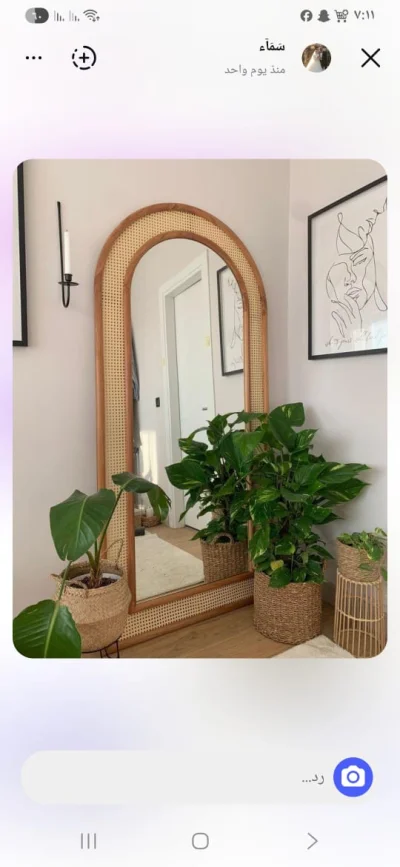 مرآه بامبو طبيعى 