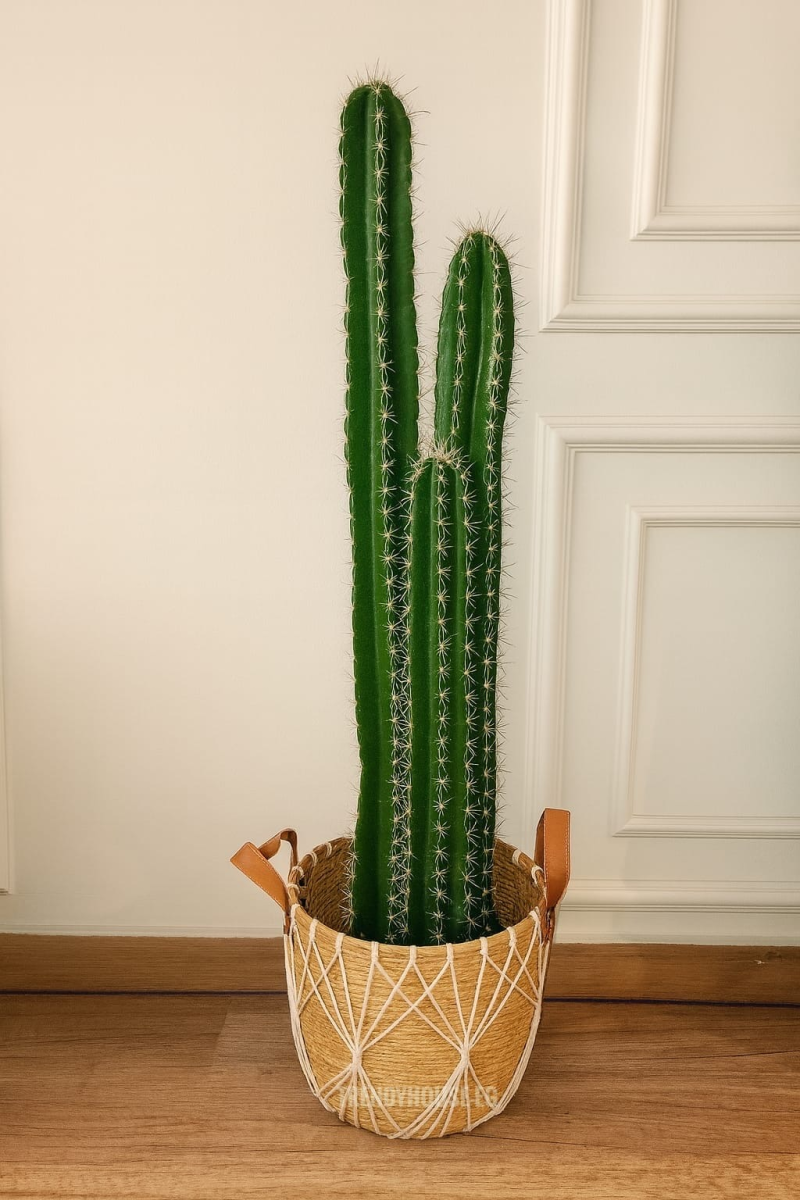 بوت خوص مستوردكبير يد جلد