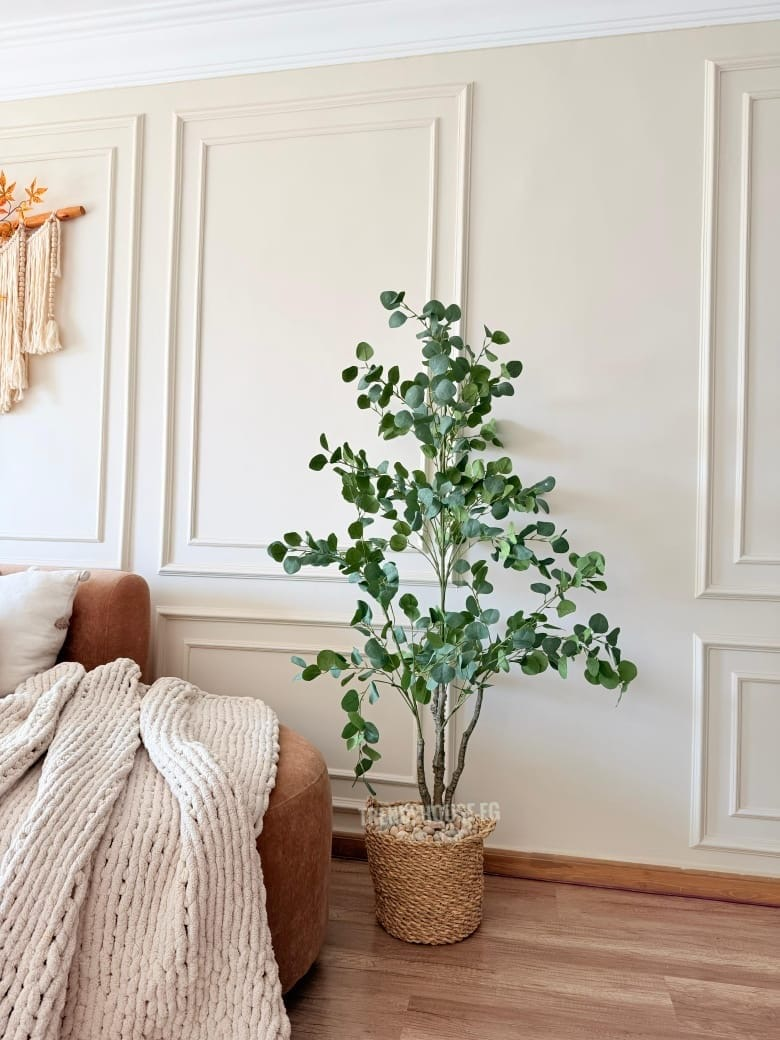 بوت خوص مصري