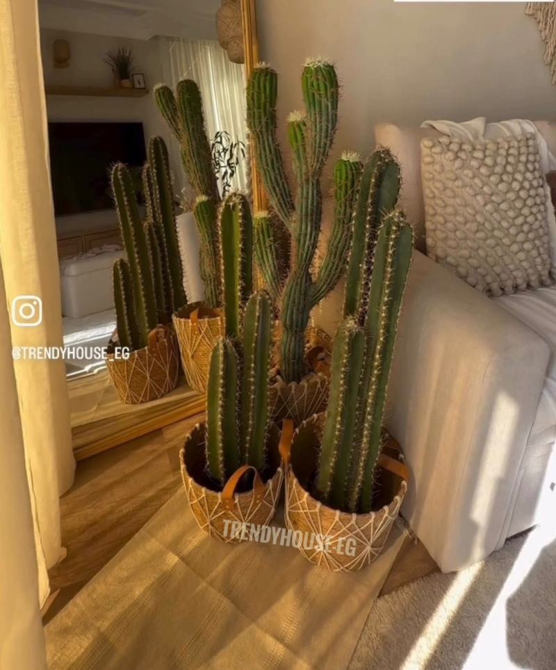 طقم بوتات مستورد يد جلد 