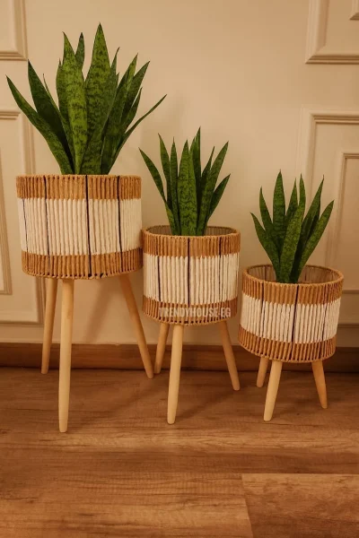 بوت زرع مستورد وسط 