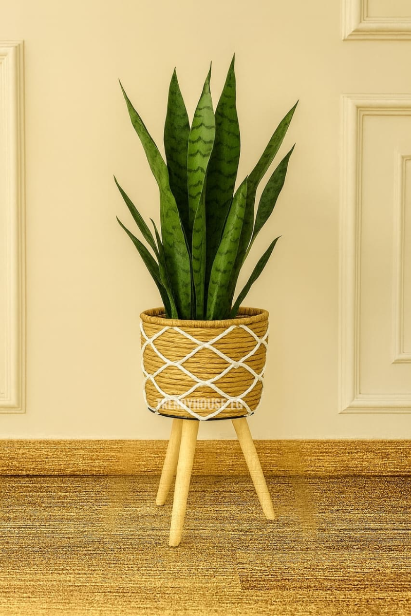 بوت زرع مستورد كبير