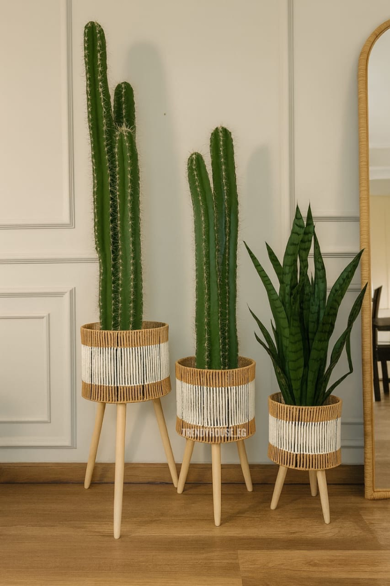 بوت زرع مستورد صغير 