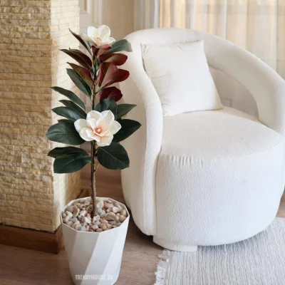 شجره ماغنوليا 