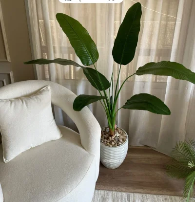 بوت بلاستيك مضغوط مستورد 