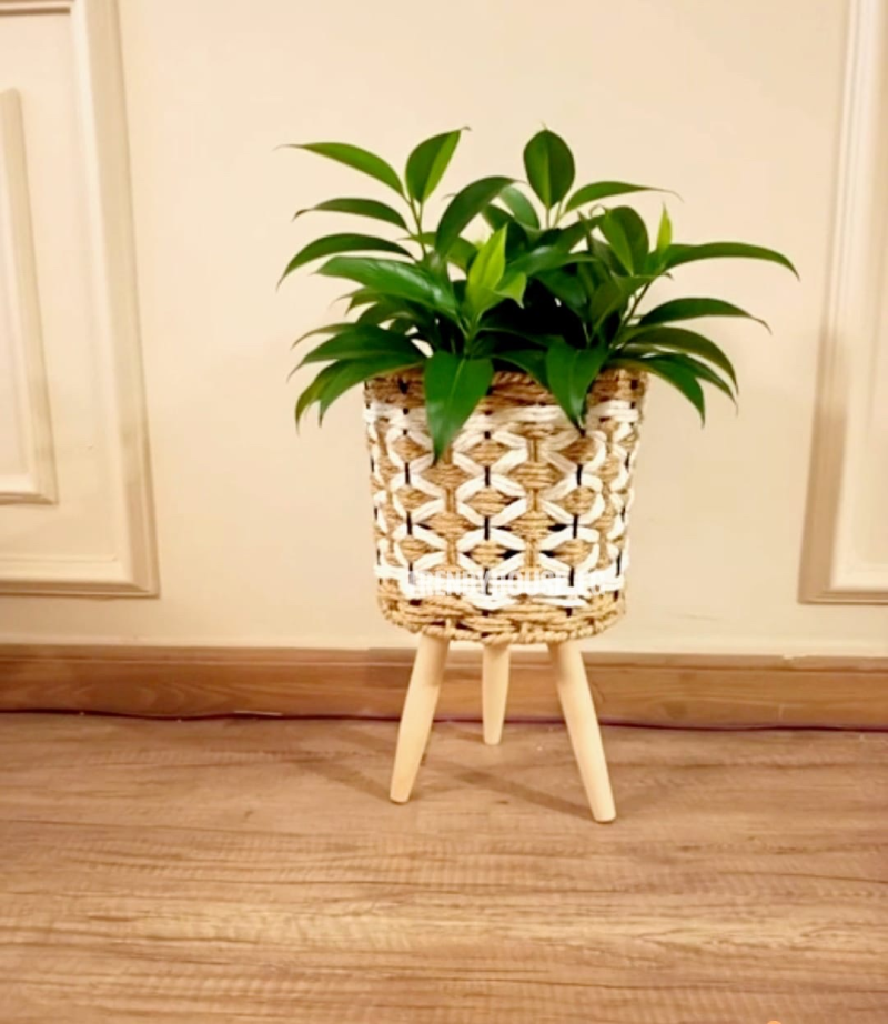 بوت زرع مستورد وسط 