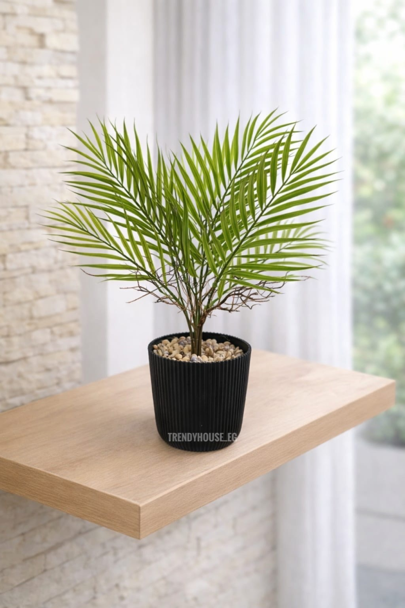 فازه شجر نخيل