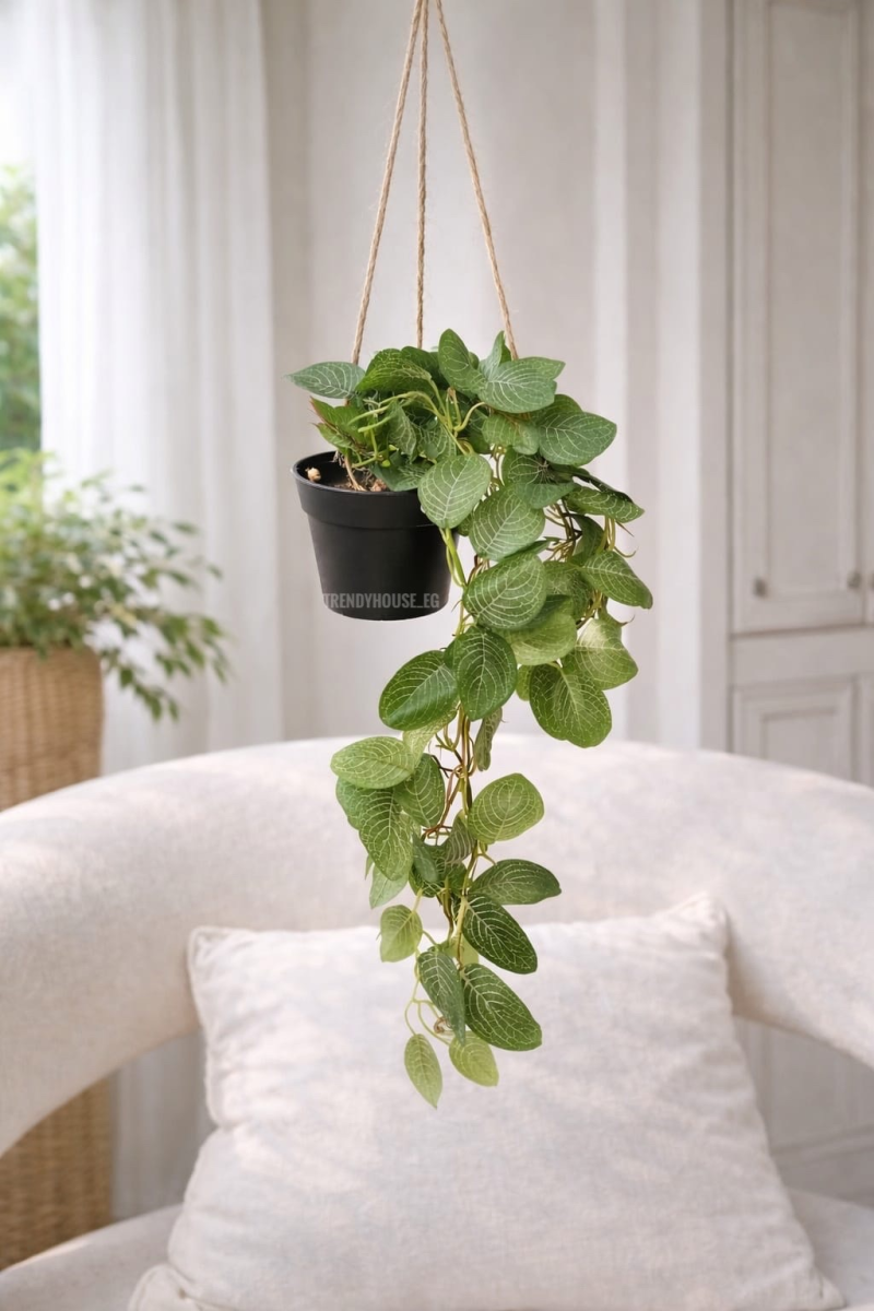 شلال زرع الفيتونيا معلق 