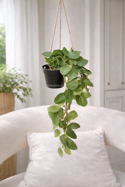 شلال زرع الفيتونيا معلق 