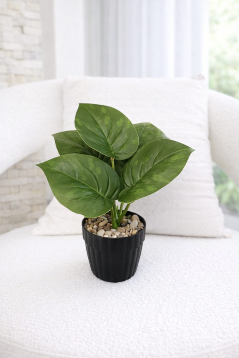 فازه شجر ستريليتزيا