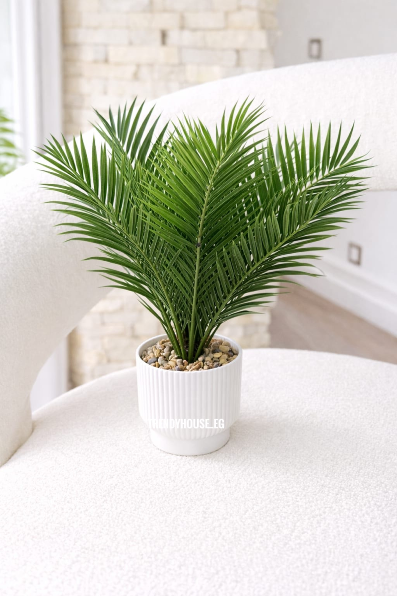 فازه شجر نخيل 