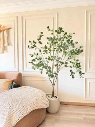 شجره إكلبتوس 180 سم