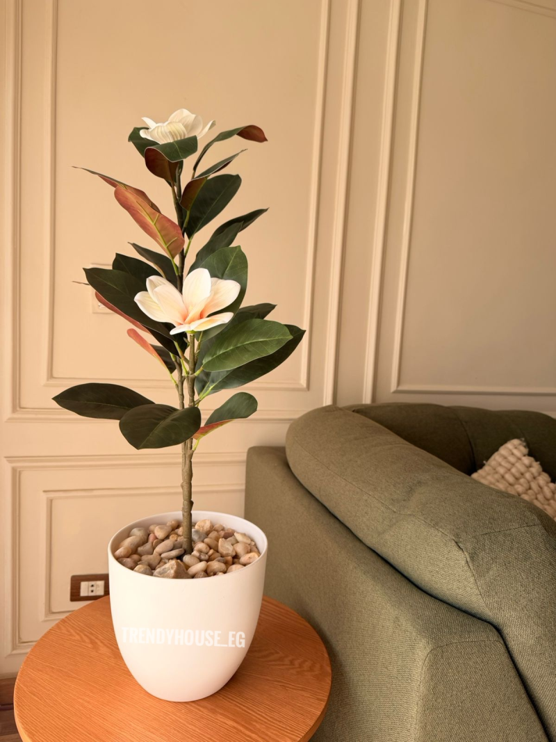 شجره ورد 90 سم