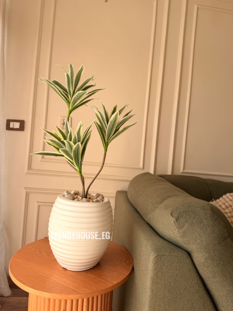 دراسينا فاتحه 90سم