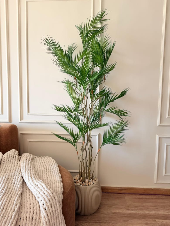 شجره شمادوريا ١٩٠ سم