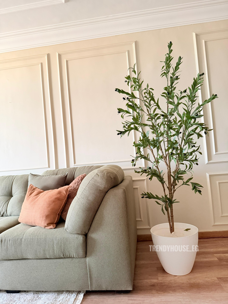 شجره زيتون كثيفه 190 سم 