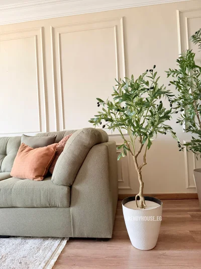 شجره زيتون 140 سم 