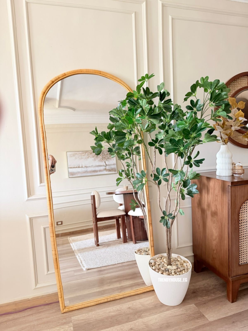 شجره شوفليرا 170 سم 