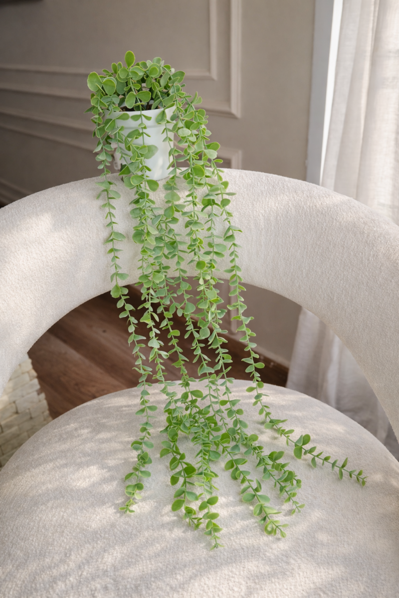 شلال زرع ديسكيديا 