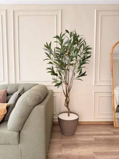 شجره دراسينا 180سم 