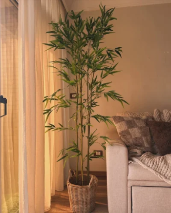 شجره بامبو 180سم